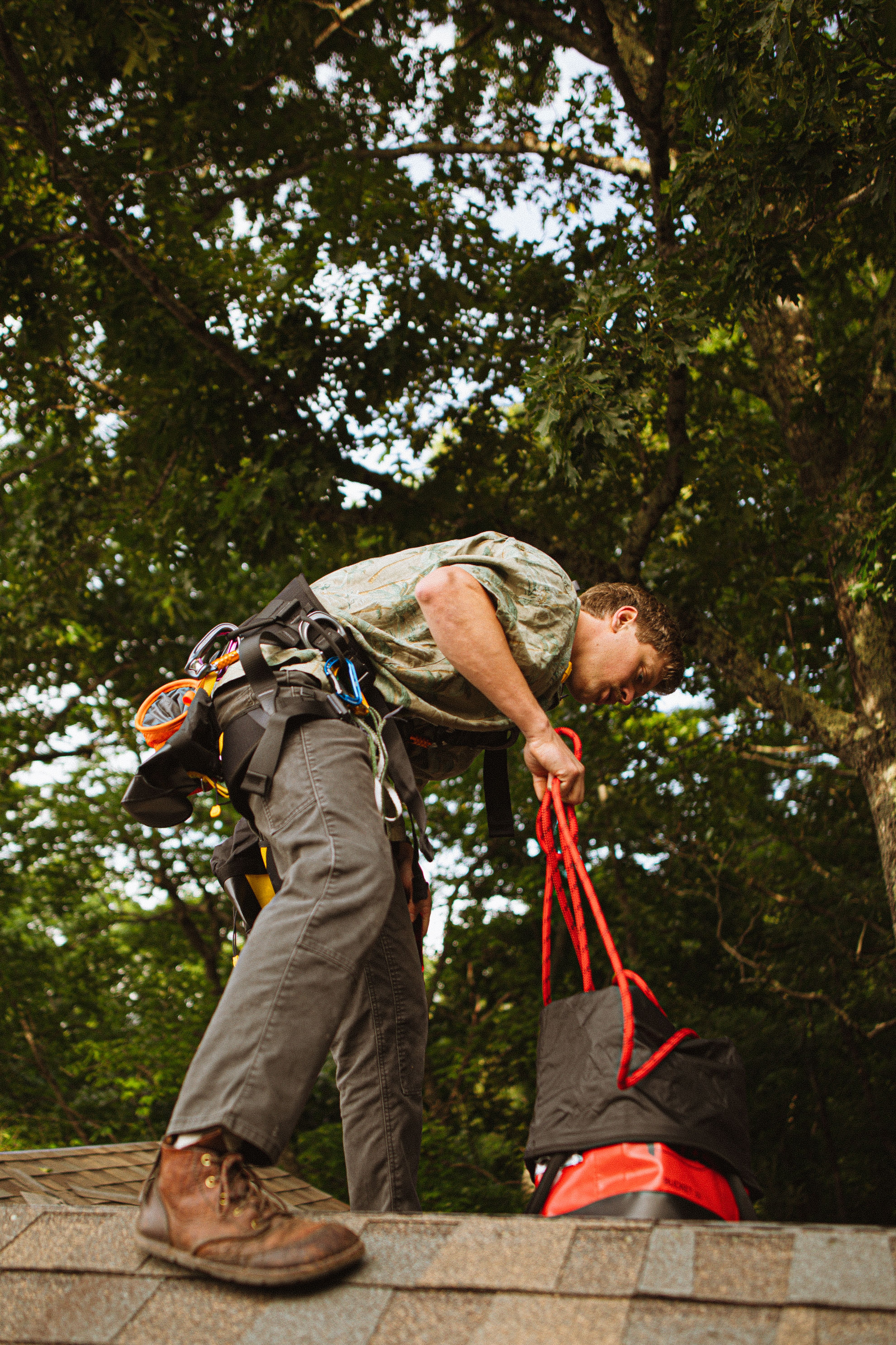 Tree service crew member working in a tree